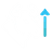Bull AI
